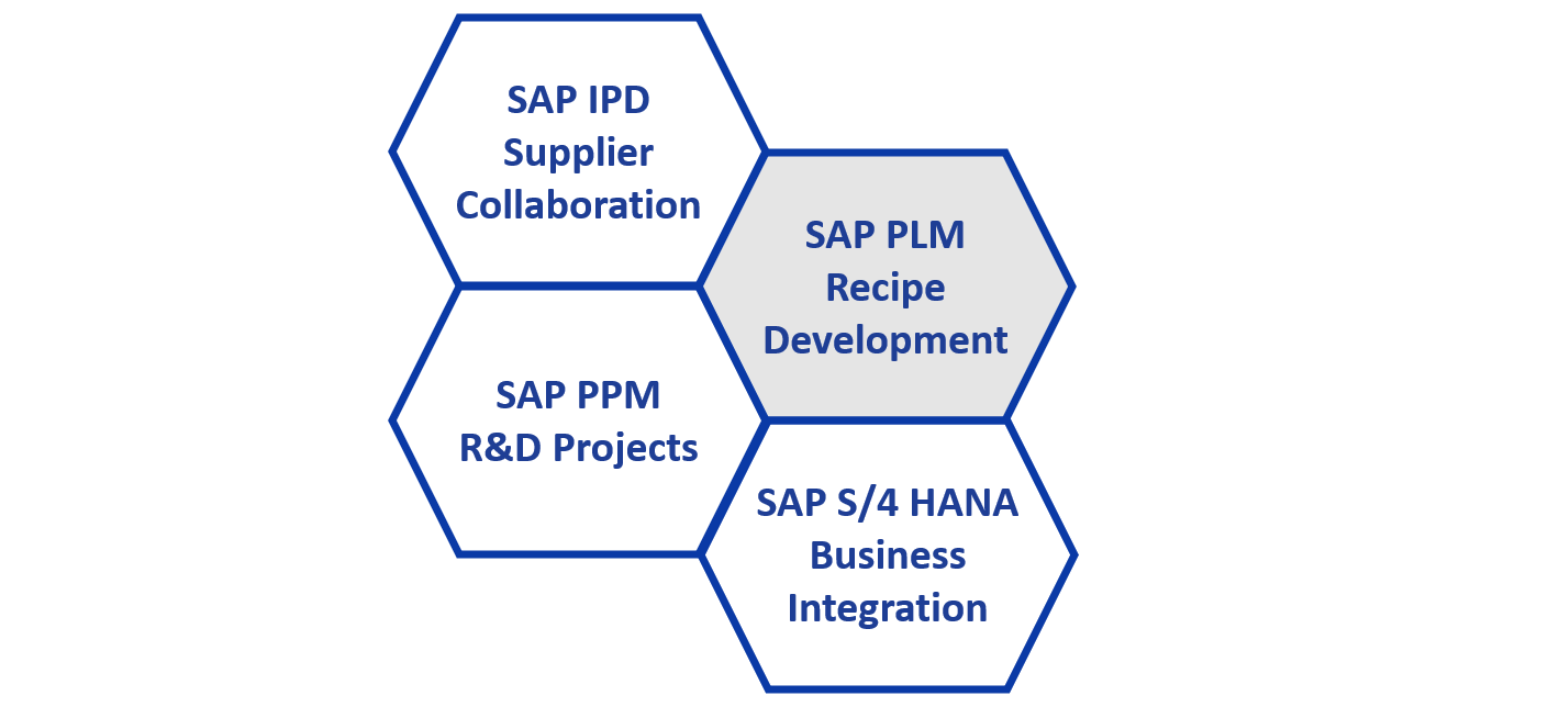 SAP PLM Graphic